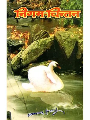 निगम-चिन्तन: Nigam-Chintan